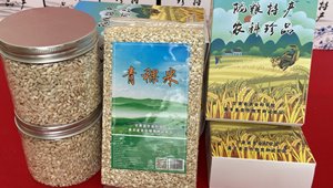 青稞米、青稞掛面等系列制品